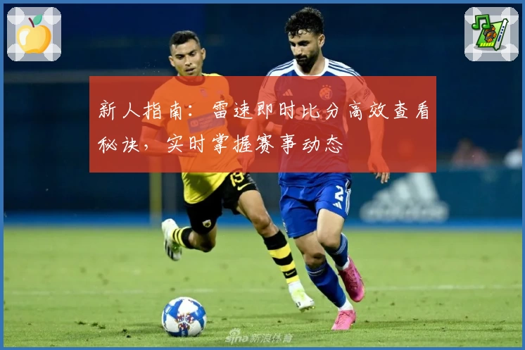 新人指南：雷速即时比分高效查看秘诀，实时掌握赛事动态