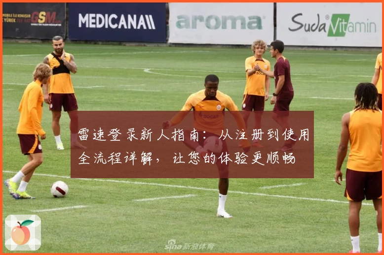 雷速登录新人指南：从注册到使用全流程详解，让您的体验更顺畅