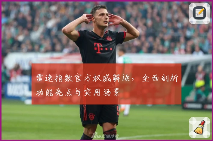 雷速指数官方权威解读，全面剖析功能亮点与实用场景