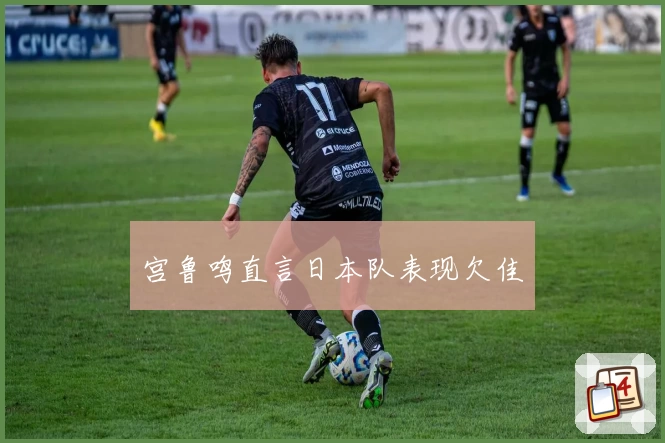 宫鲁鸣直言日本队表现欠佳