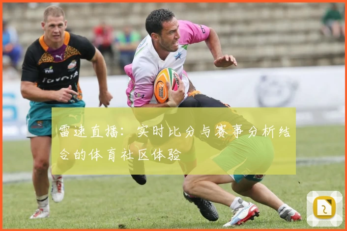 雷速直播：实时比分与赛事分析结合的体育社区体验